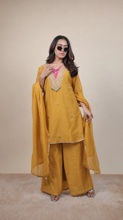 Kanak – Pink Zari Embroidered Suit by Gold Lady - Back View